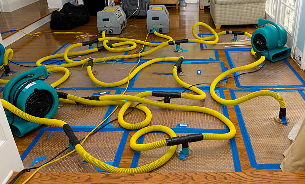 Professional Sewage Cleanup technician working in Webster, MN
